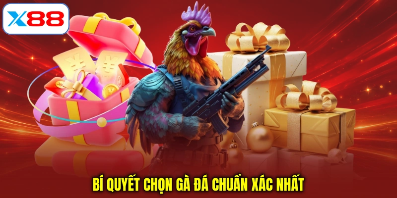 Bí quyết chọn gà đá chuẩn xác nhất