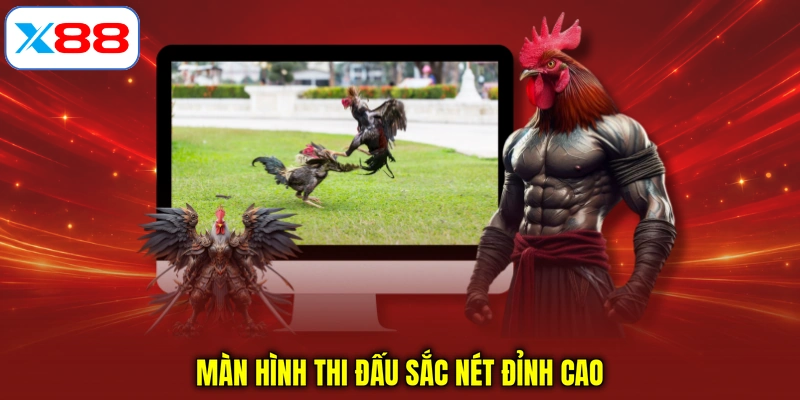 Màn hình thi đấu sắc nét đỉnh cao